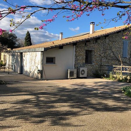 Le Mas Des Oliviers Nimes Bagian luar foto