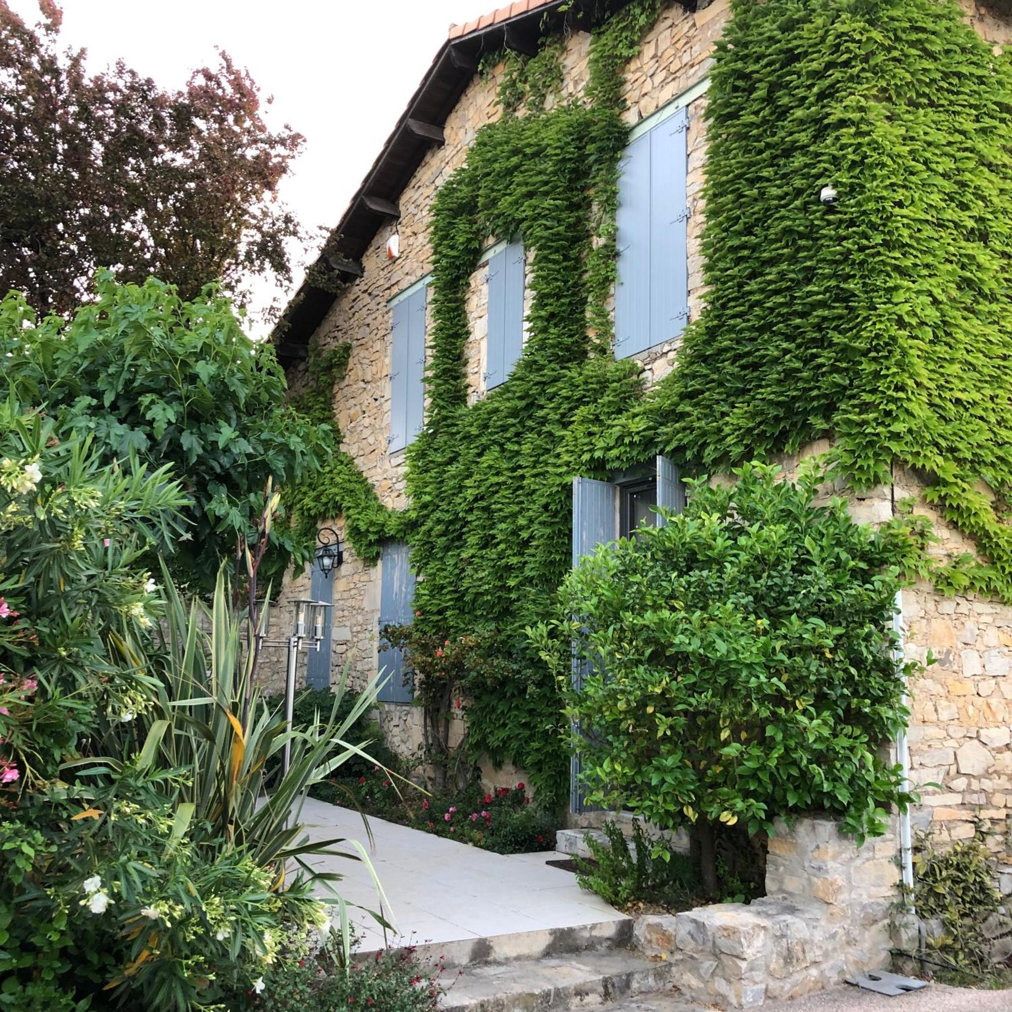 Le Mas Des Oliviers Nimes Bagian luar foto